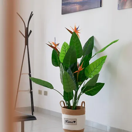 Domus De Jana Appartement